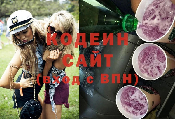 эйфоретик Алзамай