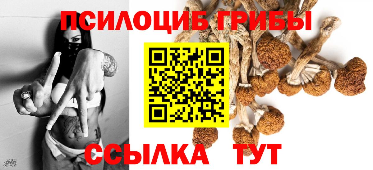 Псилоцибиновые грибы мухоморы  где купить наркоту  Клин  Вход с VPN 